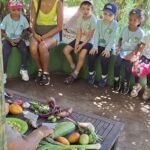 14 Decouverte des fruits et légumes 1